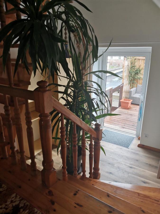 Forest Apartment *